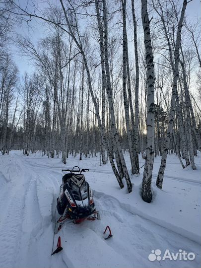 Polaris PRO RMK 800