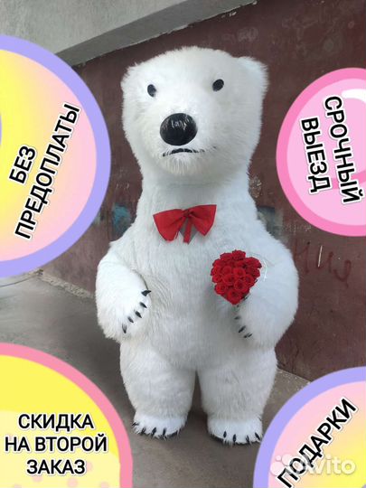 Мишка 2.6м поздравление срочный выезд сейчас