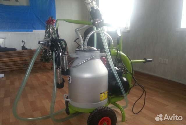 Доильный аппарат Милка коллектор Molds