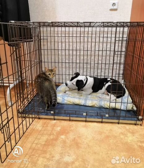 Клетка № 6 2 двери