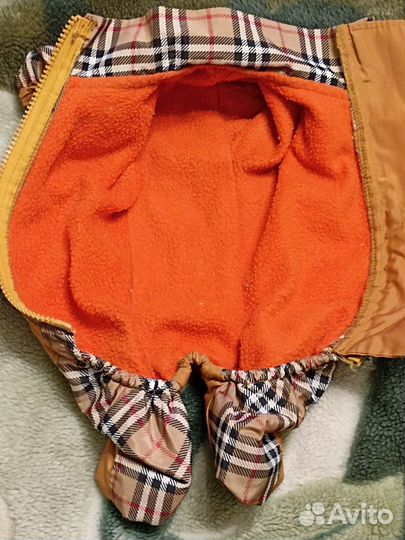 Комбинезон для маленькой собаки девочки