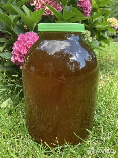 Мед/мёд Цветочный