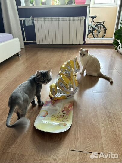 Сноуборд комплект