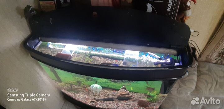 Аквариум б.у 200 литров