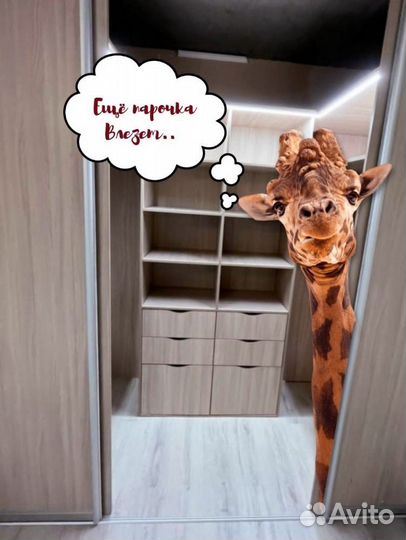 Шкаф на заказ по вашим размерам