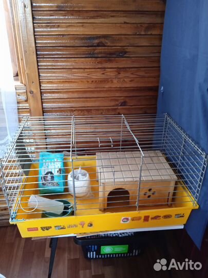 Клетка и корм