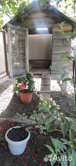 Курятник домик