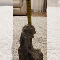 Для аквариума