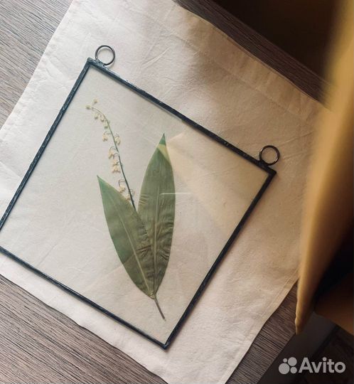 Гербарий в стекле