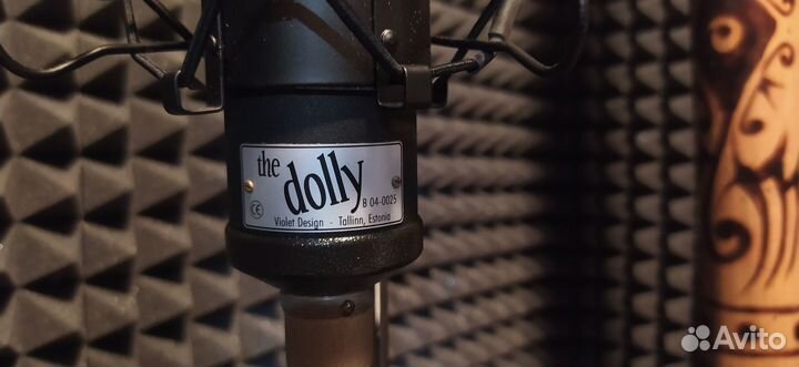 Профессиональный студийный микрофон Violet Dolly