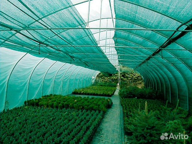 Сетка затеняющая для теплиц, тень от солнца