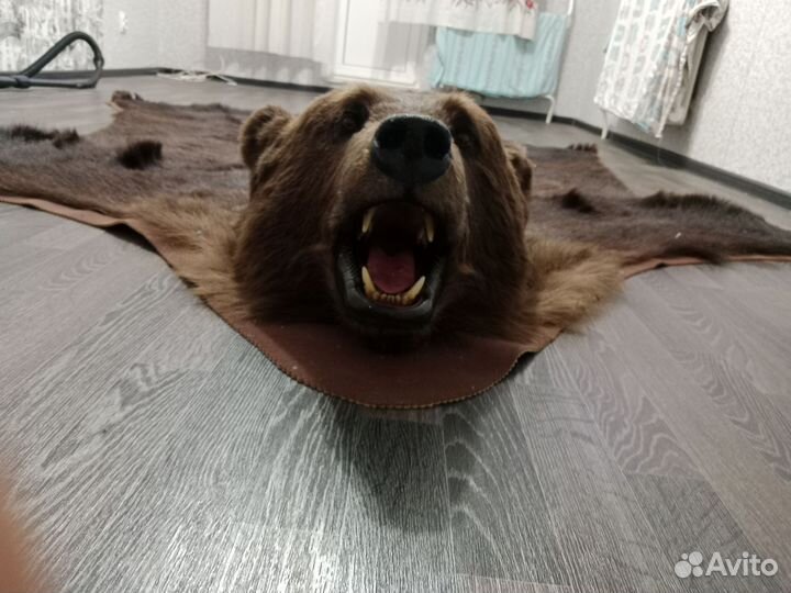 Шкура медведя имитация