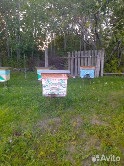 Продам ульи для пчел