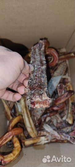 Сушёные лакомства для собак