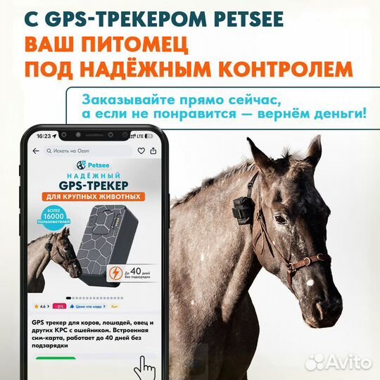 Ошейник для крс