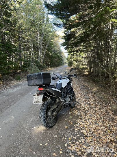 BMW f800gs