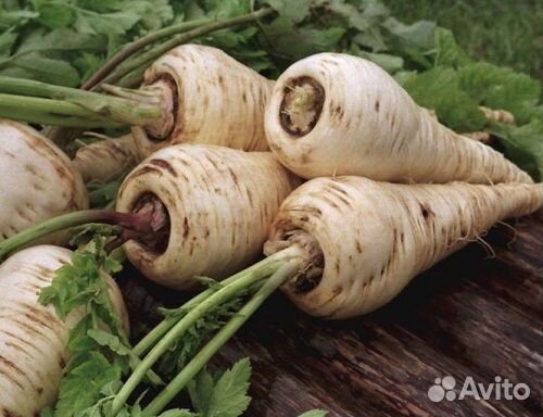 Овощи для лечения простатита со своего хозяйства