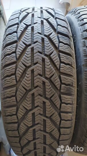 Tigar Winter 205/55 R16 94H