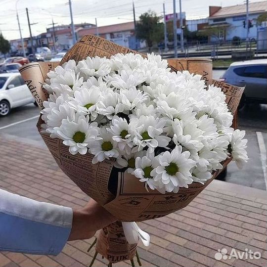 Хризантема Доставка цветов Букеты