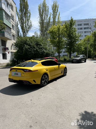 Kia Stinger 3.3 AT, 2018, 79 000 км