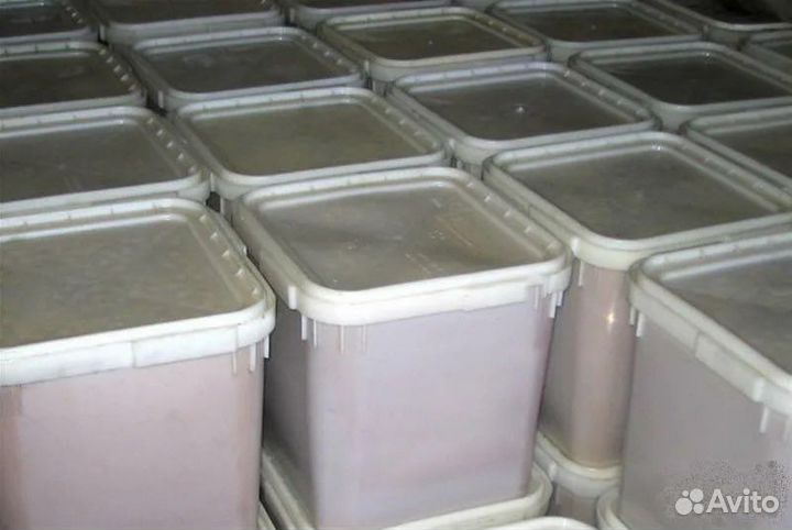 Продам мед оптом