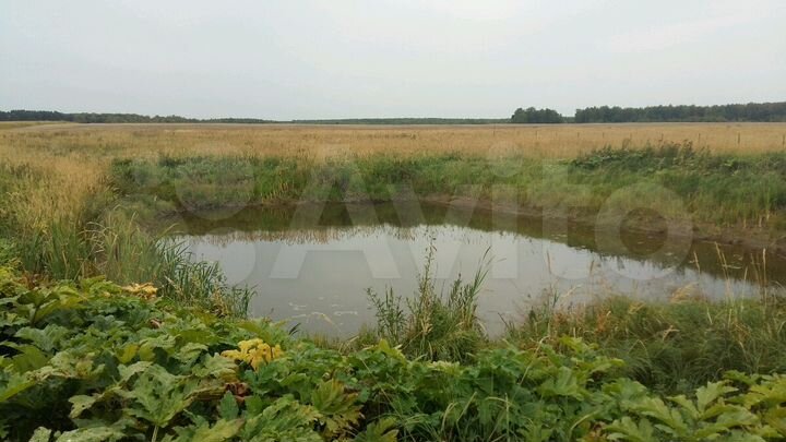 Участок 13 га (СНТ, ДНП)