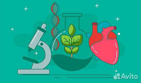 Репетитор по биологии