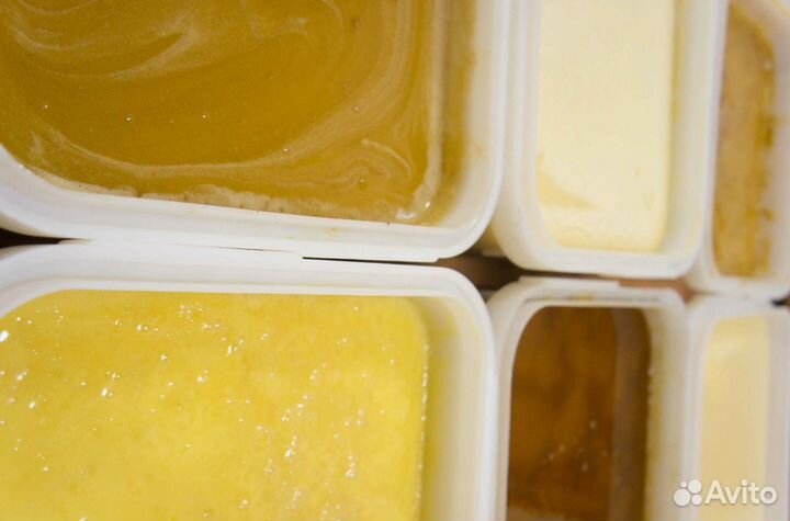 Мёд натуральный с Алтая опт