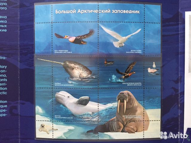 Сувенирный наб.Арктический заповедник 2018 г