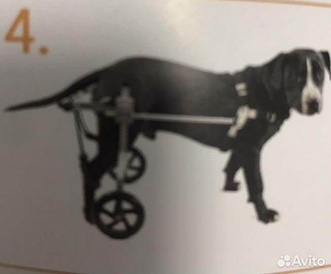 Инвалидная коляска для кошек и собак