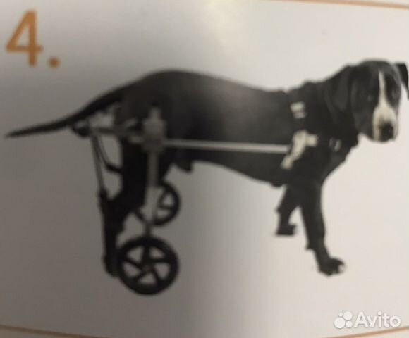 Инвалидная коляска для кошек и собак