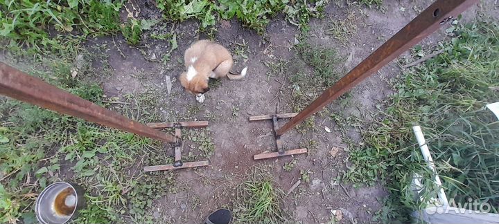 Стойки для жима или приседа