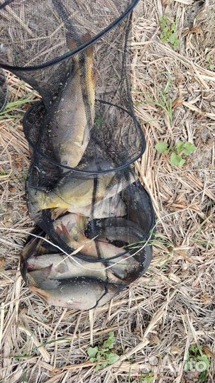 Рыбалка отдых