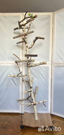 Аксессуары для попугая