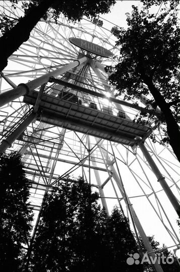 Пленочный фотоаппарат Olympus OM4