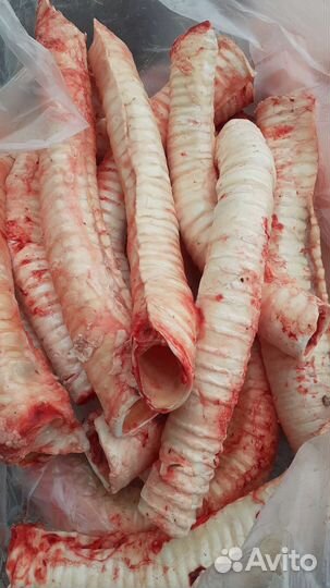 Мясо говядина для собак