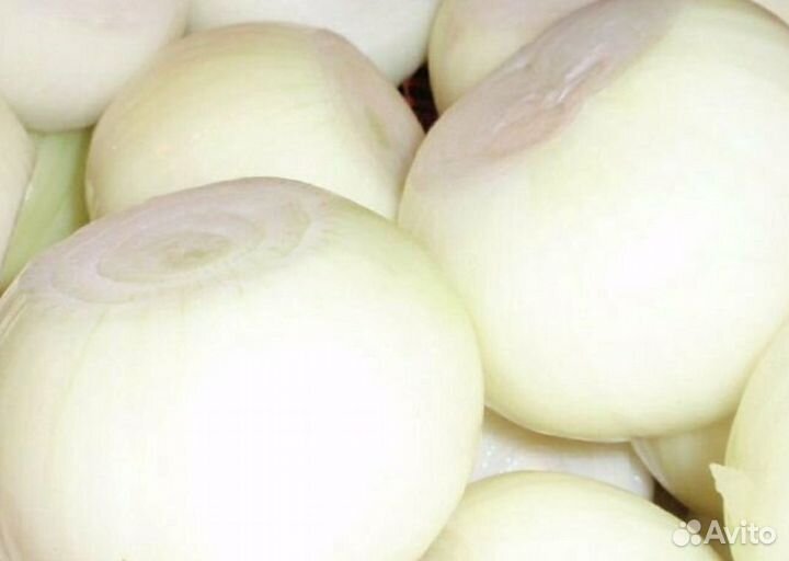 Лук очищенный