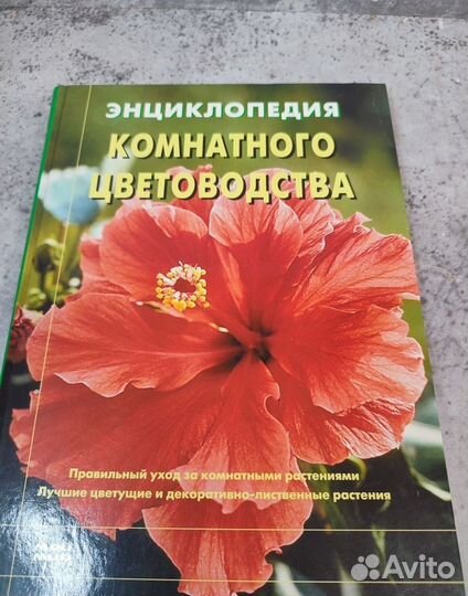 Книга про цветы Энциклопедия комнатного цветовода