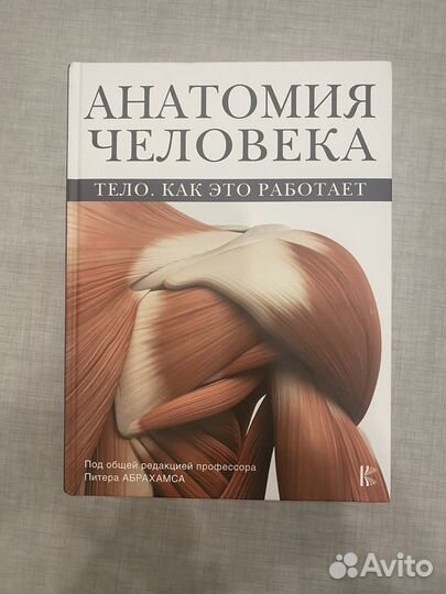 Анатомия человека. Тело. Как это работает