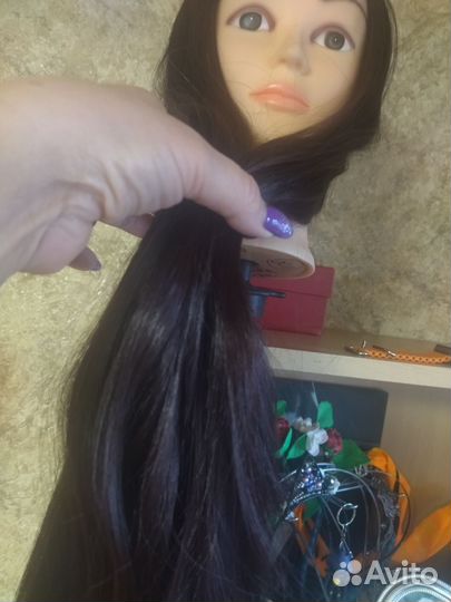 Голова учебная