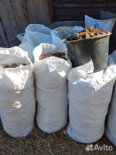 Конский навоз