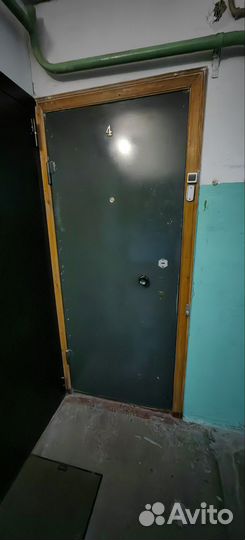 Дверь металлическая 3 мм