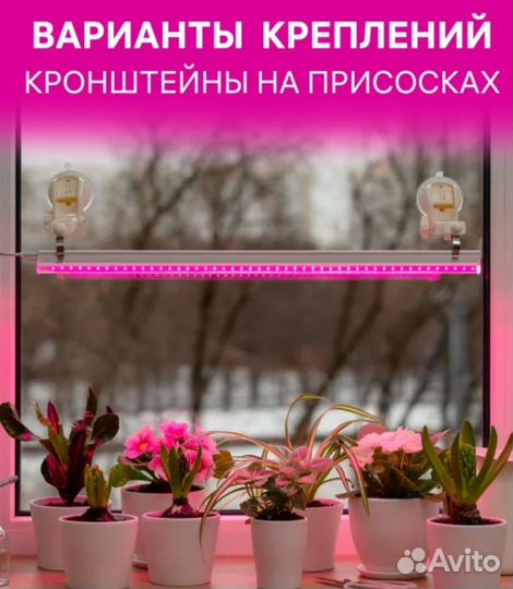 Фитолампа для растений