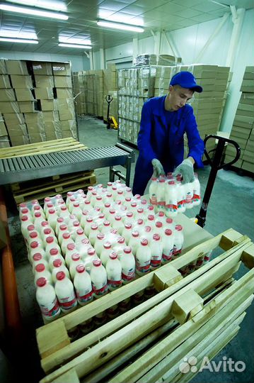 Разнорабочий на завод