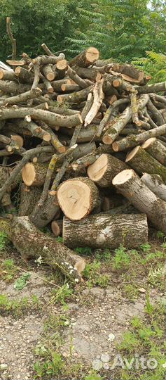 Продам дрова