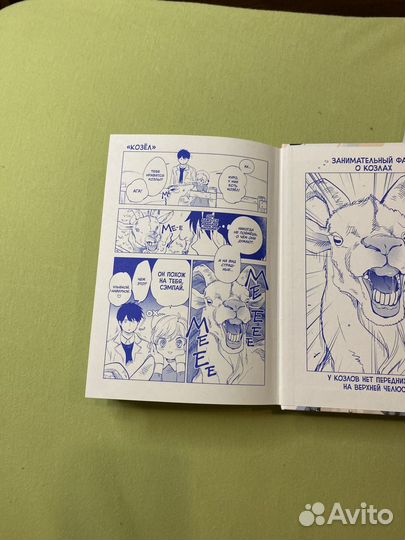 Манга ложные выводы