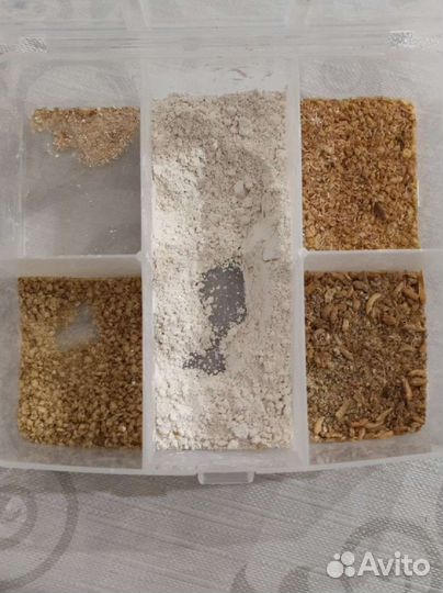 Всё для содержания улиток