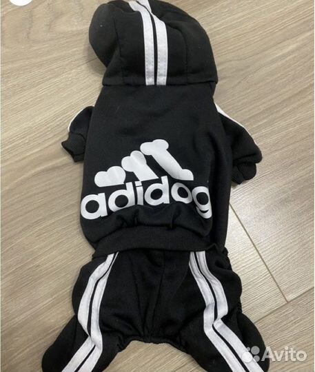 Одежда для животных