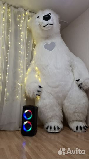 Белый мишка поздравление, организация праздников