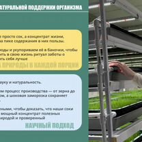 Франшиза полезных соков — бизнес с заботой о здоровье, Темиртау (Карагандинская область)